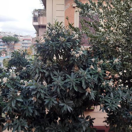 Smart Suite Roma Dış mekan fotoğraf
