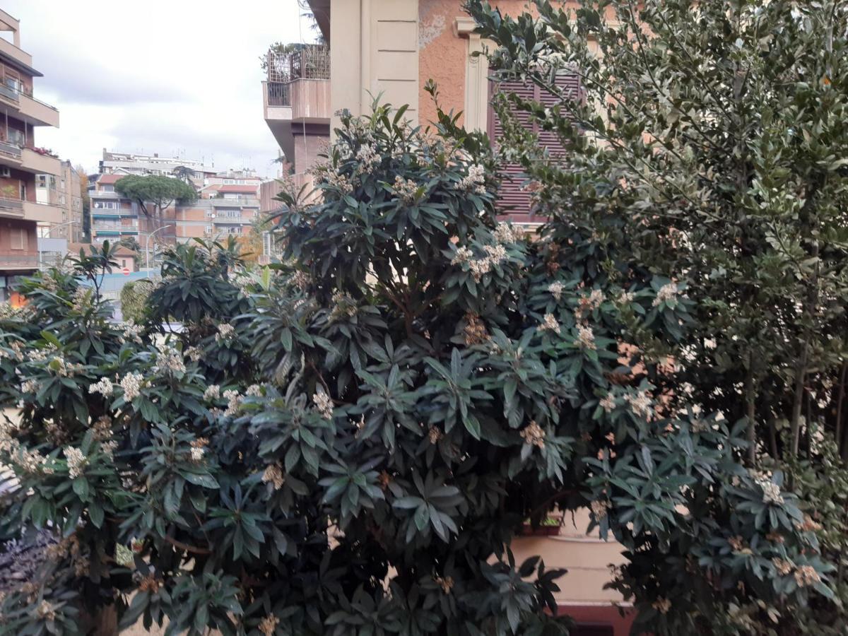 Smart Suite Roma Dış mekan fotoğraf